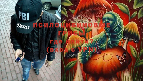 бошки Алексеевка