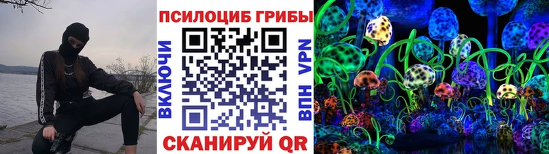 что такое наркотик Щучье Псилоцибиновые грибы Magic Shrooms